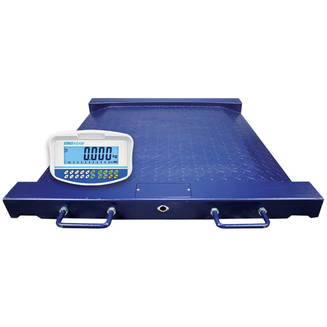Wheelchair Scales